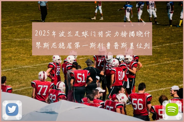2025年波兰足球门将实力榜揭晓什琴斯尼稳居第一斯科鲁普斯基位列第三