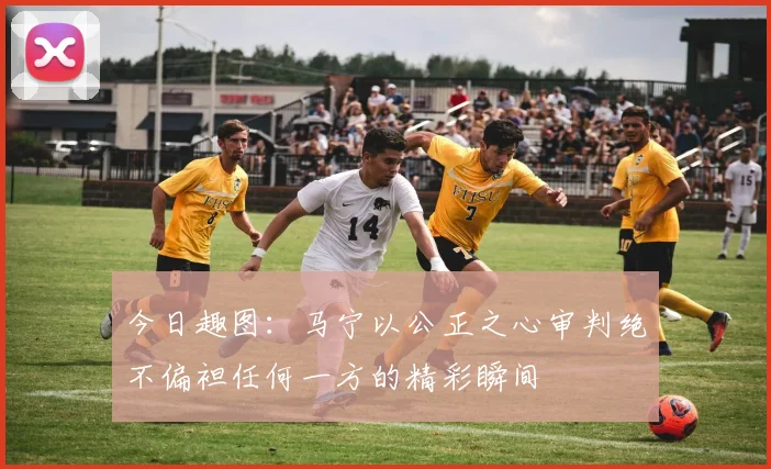 今日趣图：马宁以公正之心审判绝不偏袒任何一方的精彩瞬间